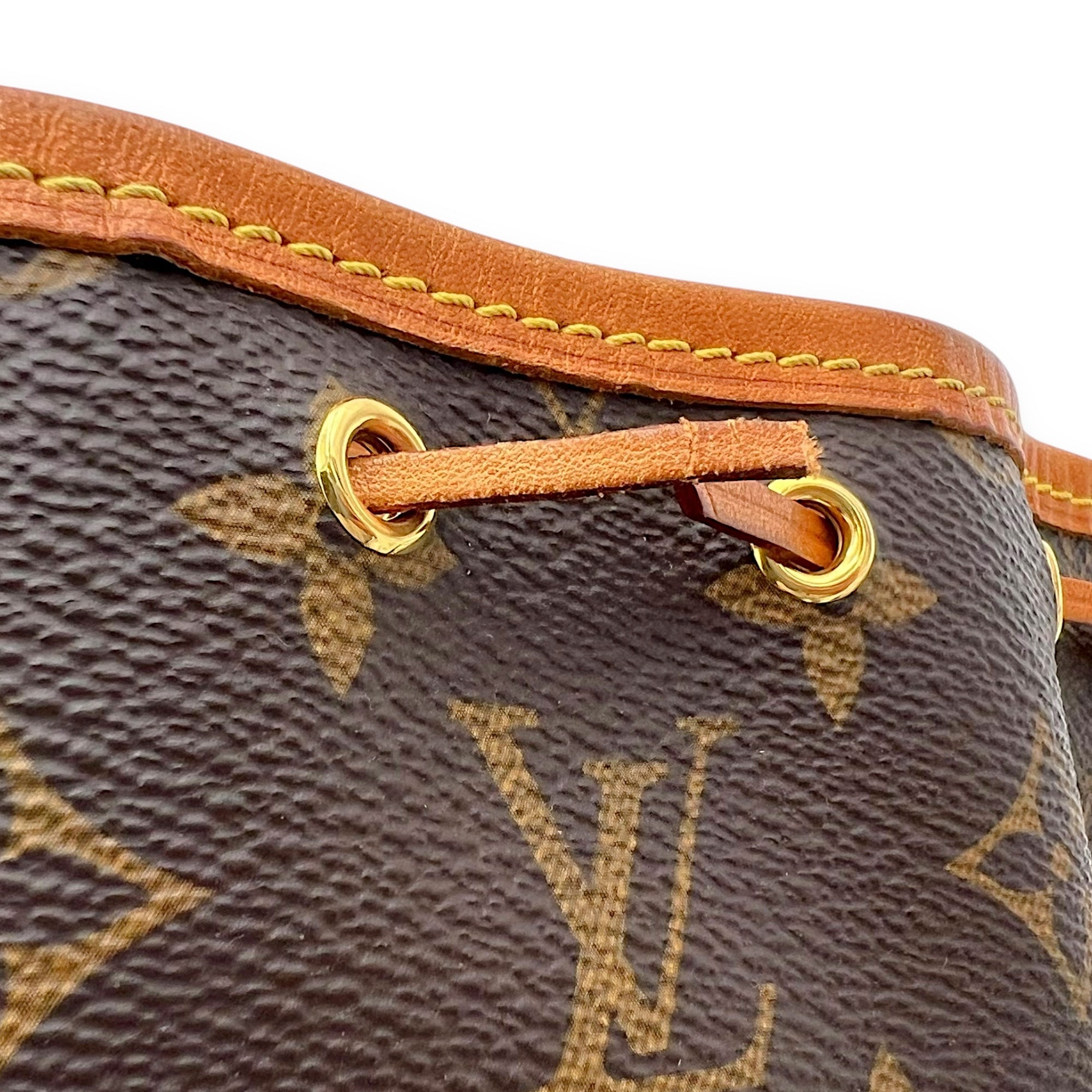 Noe Bucket Bag Brown in Monogram Coated Canvas, Gold hardware - Image 12